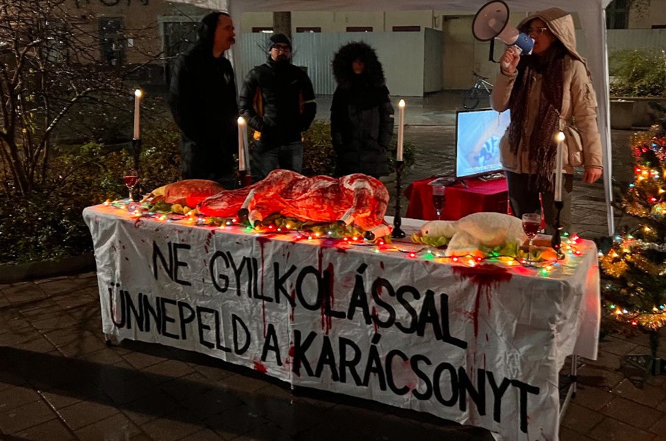 „Ne gyilkolással ünnepeld a karácsonyt!”