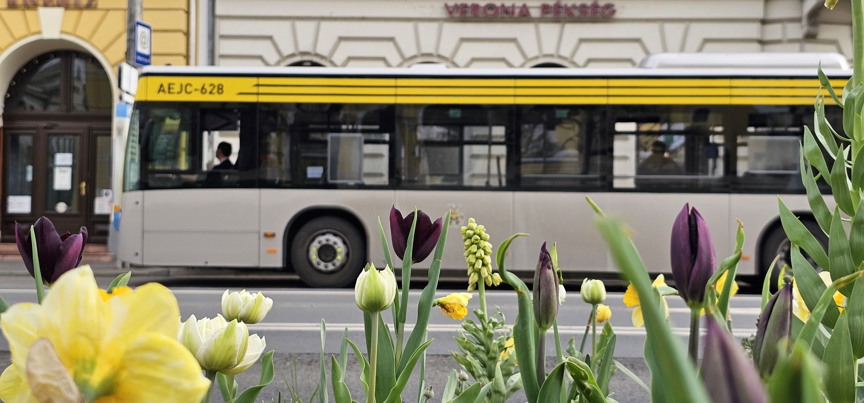 DKV: változik több járat számozása és indulási időpontja